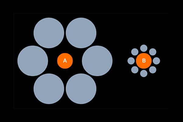 Cognitive Bias Solutions – Test your cognitive biases